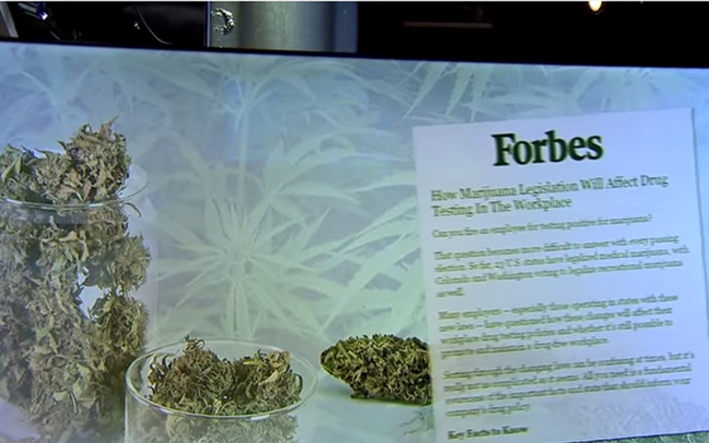 Drug Testing in the Workplace Pros and Cons List