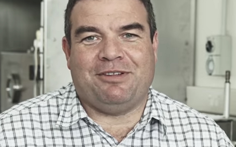 Wool Carpet Pros and Cons List