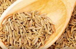 Cumin Seeds Pros and Cons List